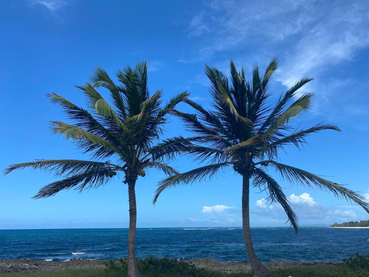 Villa Phare Caraibes Guadeloupe Le Moule Eksteriør billede